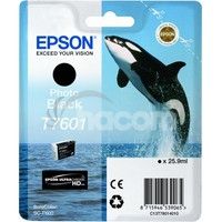 Epson T7601 Ink Cartridge Photo Black C13T76014010